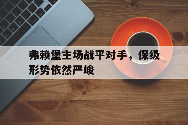 弗赖堡主场战平对手,保级形势依然严峻的简单介绍 弗赖堡主场战平对手,保级形势依然严峻的简单介绍
