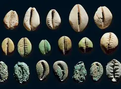 九游体育官网-贝林厄姆集锦视频